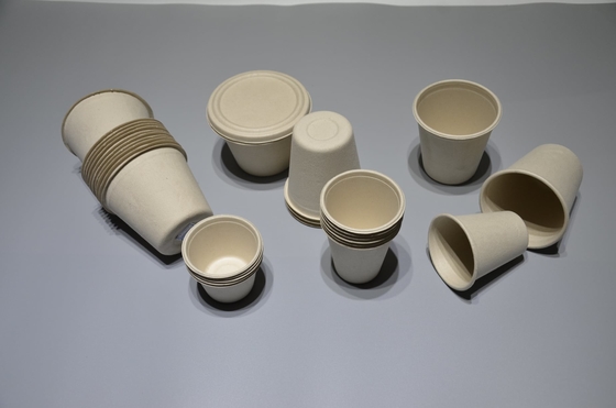 Автоматизированная Biodegradable машина прессформы пульпы багассы сахарного тростника с двойным горизонтальным идя манипулятором