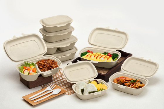 Полностью автоматическая производственная линия Tableware пульпы с горизонтальной идя рукой робота