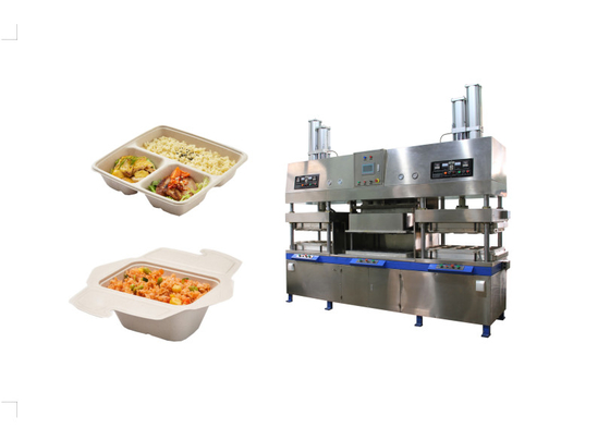 ПЛК целлюлозная формовка Clamshell Lunch Box Machine Настраиваемая форма Размер 1600 * 800 мм