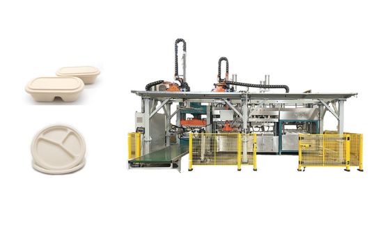 Biodegradable машина продукции подноса обеда отлитая в форму пульпой