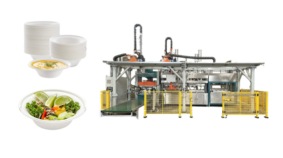 6000 ПК/машина прессформы пульпы часа влажной отжимая для Tableware